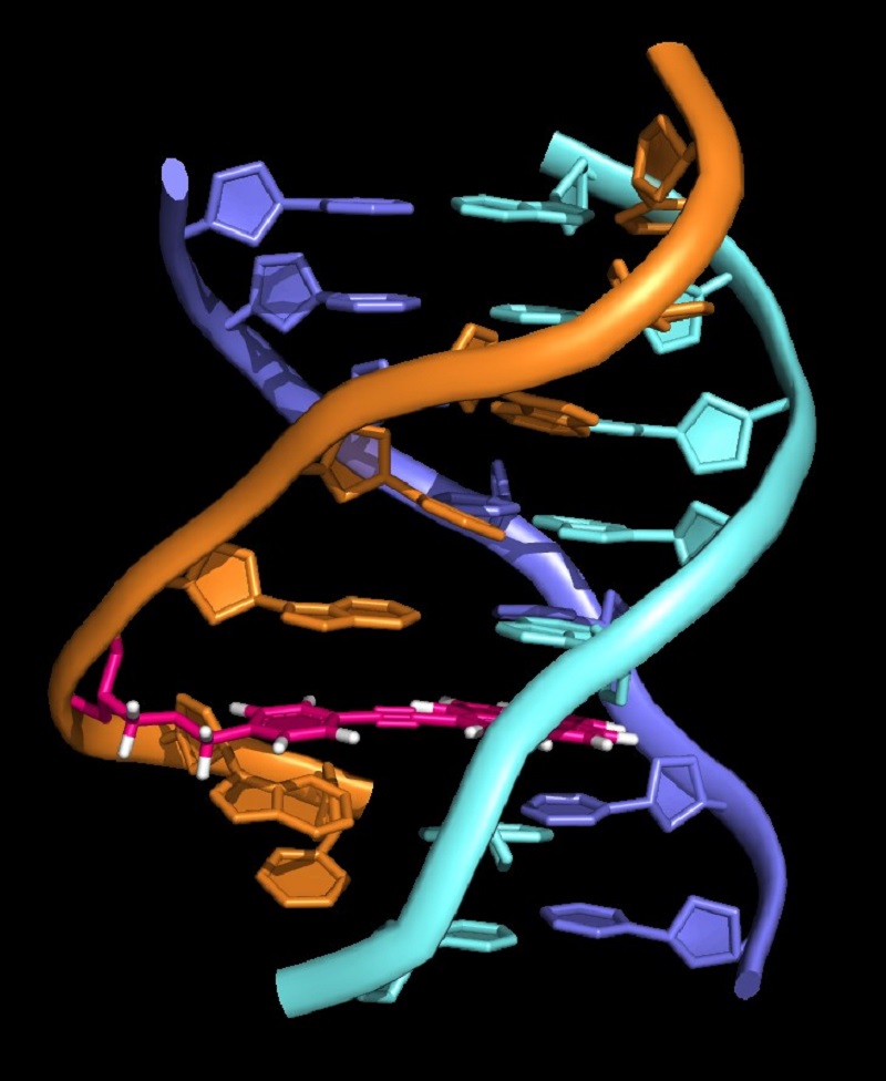 Investigadores Del CSIC Estudian El ADN De Triple Hélice | Consejo ...